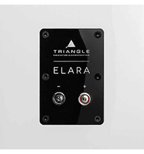 Triangle Elara LN01 - Kolumny głośnikowe podstawkowe (para)
