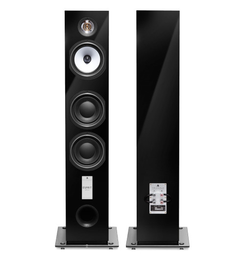 Triangle Esprit Antal Ez - Kolumny głośnikowe podłogowe (para)