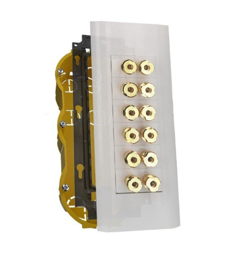 Gniazdo Głośnikowe Bananowe 12 x Banan MOSAIC GOLD