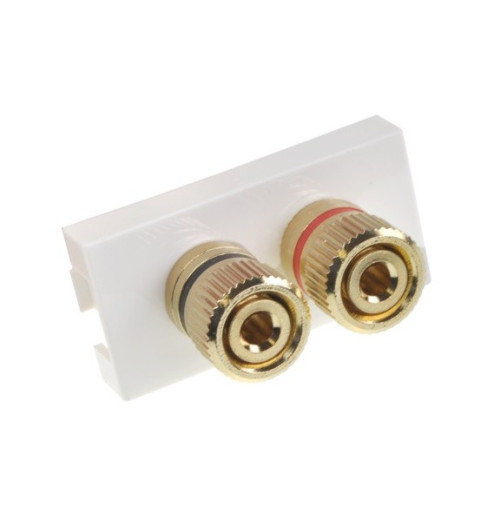 Gniazdo 2x banan MultiPanel MOSAIC