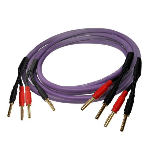 Kable głośnikowe MDSC Melodika