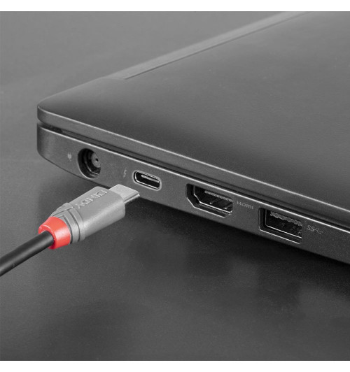 Lindy Anthra Line 3694x - Kabel USB 2.0 C-B