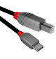 Lindy Anthra Line 3694x - Kabel USB 2.0 C-B