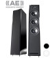 Kolumny podłogowe Acoustic Energy AE 305