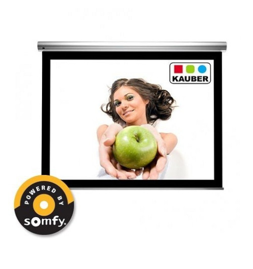 Ekran elektryczny Kauber Blue Label GrayPro