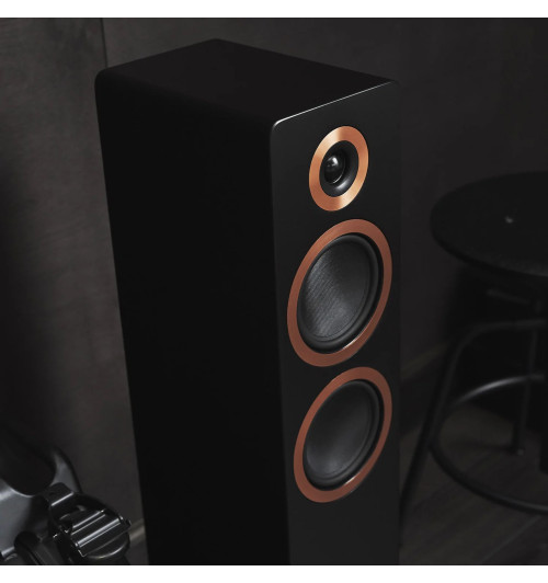 Argon Audio FORTE A55 MK2 - Aktywne kolumny podłogowe (para)