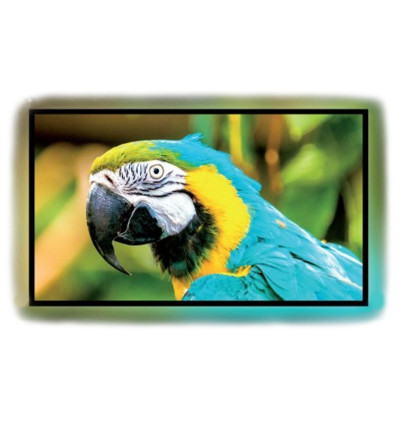 Kauber Frame LED Active White Ice - Ramowy ekran projekcyjny