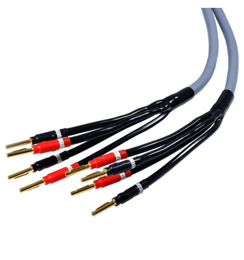 Kable głośnikowe bi-amping - Melodika MDBA415G