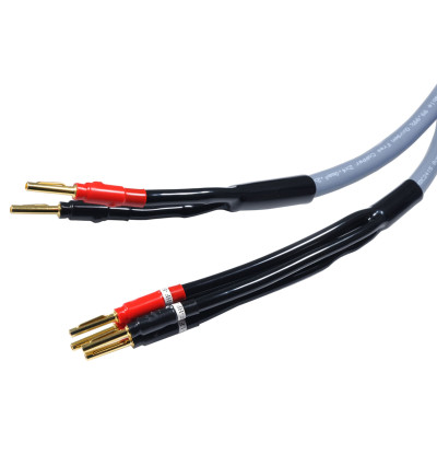 Kable głośnikowe bi-wiring - Melodika MDBW415G
