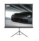 Ekran na statywie Kauber Econo Mobil Tripod 200 x 200 cm 1:1