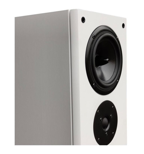 Tonsil Maestro III - Kolumny podłogowe Edycja Limitowana