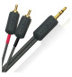 Kabel 2RCA - WireWorld I-World - 1,5 m