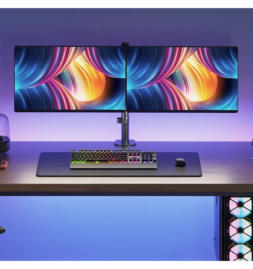 Neomounts FPMA-D550D - stojak / uchwyt biurkowy do dwóch monitorów 10" - 32"