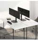 Neomounts FPMA-D865D - uchwyt / stojak biurkowy do dwóch monitorów 10" - 27"