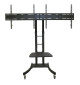 Neomounts PLASMA-M2000ED - mobilny stojak do ekranów 42" - 70"
