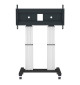 Neomounts PLASMA-M2600 - mobilny stojak do ekranów 70" - 120"