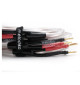 Melodika BSSC50xx - Przewód głośnikowy klasy pre Hi-End