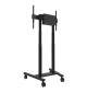 Neomounts FL55-875 - mobilny stojak do ekranów 37" - 100"