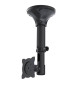Neomounts FPMA-C025 - uchwyt sufitowy do TV / monitora 10" - 30"