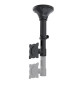 Neomounts FPMA-C025 - uchwyt sufitowy do TV / monitora 10" - 30"