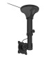 Neomounts FPMA-C025 - uchwyt sufitowy do TV / monitora 10" - 30"