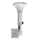 Neomounts FPMA-C025 - uchwyt sufitowy do TV / monitora 10" - 30"