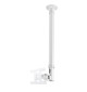 Neomounts FPMA-C100 - uchwyt sufitowy do TV / monitora 10" - 30"