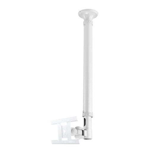 Neomounts FPMA-C100 - uchwyt sufitowy do TV / monitora 10" - 30"