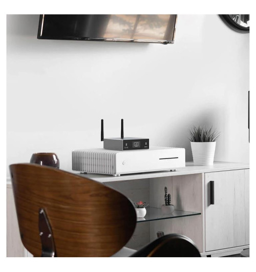 ARYLIC S50 Pro+ - bezprzewodowy przedwzmacniacz stereo