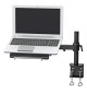 Neomounts NOTEBOOK-D100 - uchwyt biurkowy do laptopa
