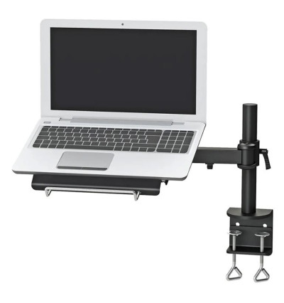 Neomounts NOTEBOOK-D100 - uchwyt biurkowy do laptopa