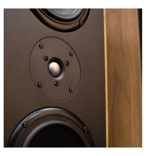 Tonsil Maestro Classic - Kolumny podłogowe (para)