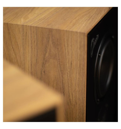 Tonsil Maestro Classic - Kolumny podłogowe (para)