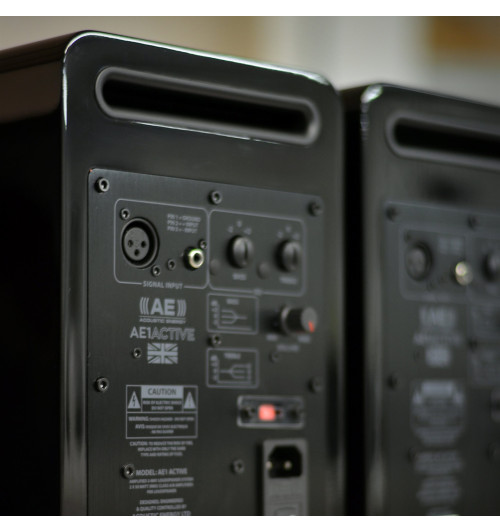 Acoustic Energy AE1 Active - Aktywne kolumny podstawkowe