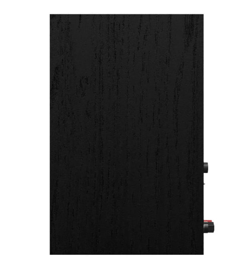 Klipsch R-40PM – Aktywne kolumny podstawkowe / monitory (para)