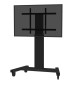 Neomounts PLASMA-M2250 - Mobilny wózek / stojak do ekranów 42" - 100"