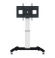 Neomounts PLASMA-M2500 - Mobilny wózek / stojak do ekranów 42" - 100"