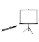 Suprema LEO 1:1 152x152cm Matt White - przenośny ekran projekcyjny
