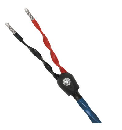 WireWorld Oasis 8 (OAS) - kabel głośnikowy 2x3m