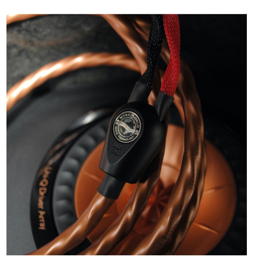 WireWorld Mini Eclipse 8 (MEB) - kabel głośnikowy