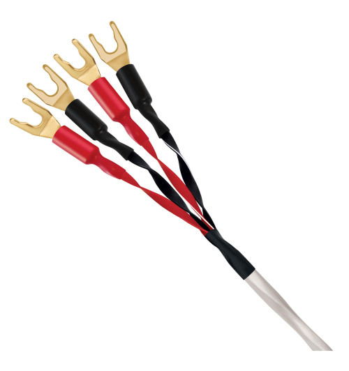 WireWorld Luna 8 (LUB) - kabel głośnikowy Bi-Wire
