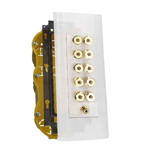 Gniazdo Głośnikowe Bananowe 10x Banan + 1x RCA MOSAIC Multipanel GOLD