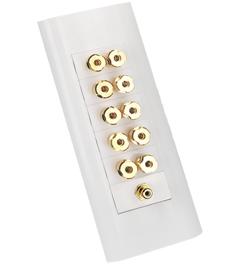 Gniazdo Głośnikowe Bananowe 10x Banan + 1x RCA MOSAIC Multipanel GOLD