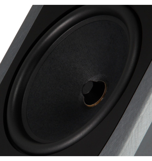 Rega AYA - Kolumny podłogowe (para)