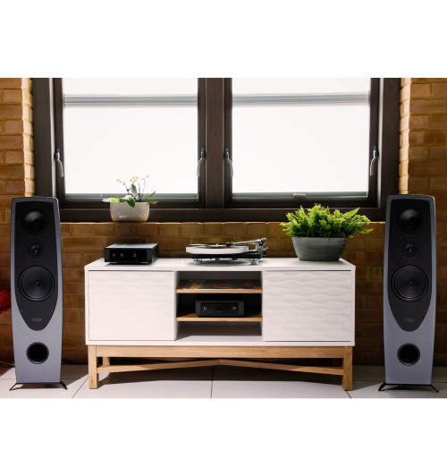 Rega AYA - Kolumny podłogowe (para)