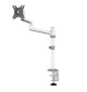 Neomounts DS60-425 - uchwyt biurkowy do monitorów 17 - 27"