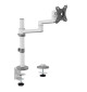 Neomounts DS60-425 - uchwyt biurkowy do monitorów 17 - 27"