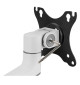 Neomounts DS60-425 - uchwyt biurkowy do monitorów 17 - 27"