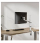 Neomounts DS60-425 - uchwyt biurkowy do monitorów 17 - 27"