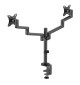 Neomounts DS60-425 - uchwyt biurkowy do dwóch monitorów 17 - 27"